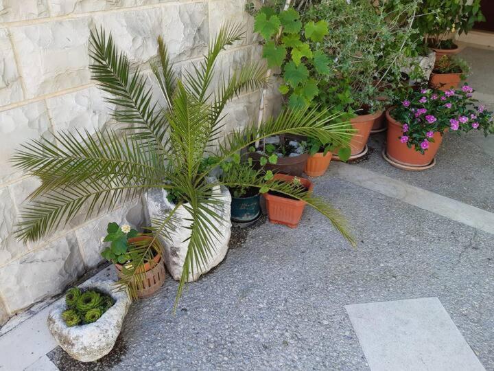 Apartment Biljana Bol Exterior foto
